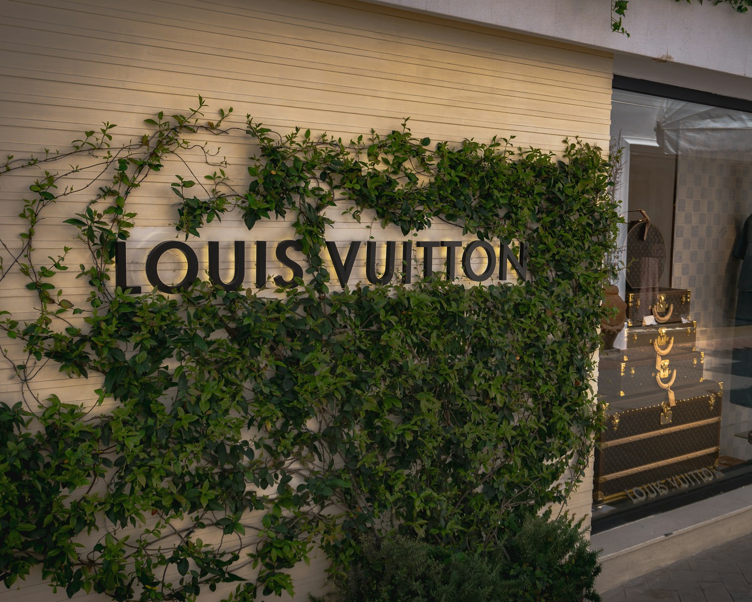 루이비통 브랜드, 처음 살 때 꼭 알아둘 체크포인트